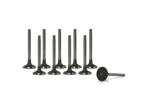 10x valves d'échappement VW Touareg Phaeton 5,0 TDI AJS AYH 038109611 NEW