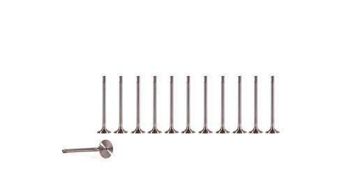 12x valve d'admission BMW 2,5 3,0 D M57D25 256D1 M57D30 306D5 NEW