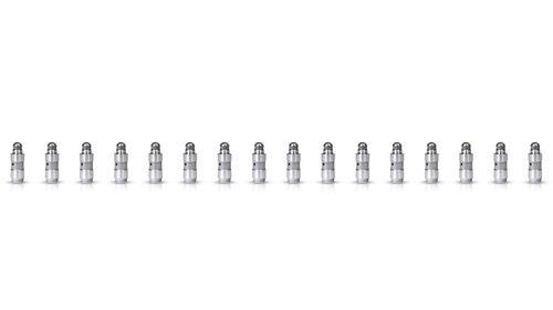 16x poussoirs de soupapes Hydropoussoir Audi VW Golf 1,4 CMS CMSB AUB APE BUD NEUF