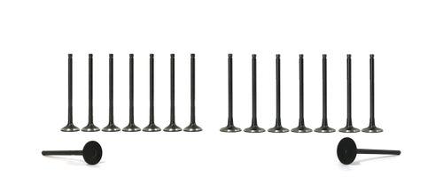 8x soupapes d'admission 8x soupapes d'échappement Mitsubishi 2,5 DI-D 4D56HP MN176597 NEW