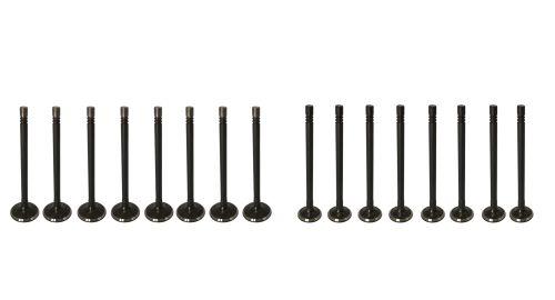 8x valve d'entrée 8x valve de sortie Kia Hyundai Accent Elantra 1,4 CRDi D4FC NEW