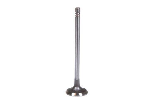 1x soupape d'admission pour Nissan Primastar 2,0 dCi M9R780 M9R630 M9R782 132012274R NEUF
