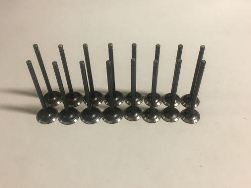 8x soupapes d'admission 8x soupapes d'échappement Mitsubishi 2,5 DI-D 4D56HP MN176597 NEW